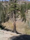 Mammoth Lakes