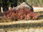 Tioga Pass Yosemite