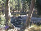 Tioga Pass Yosemite