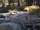 Tioga Pass Yosemite