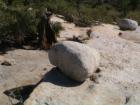 Tioga Pass Yosemite