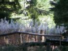 Yosemite