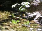 Yosemite
