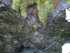 Yosemite