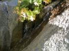 Yosemite