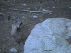 Yosemite