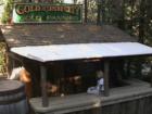 Yosemite