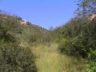Jamul San Diego CA