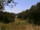 Jamul San Diego CA
