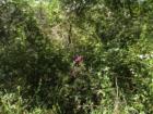 Jamul San Diego CA