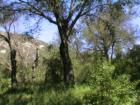 Jamul San Diego CA