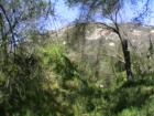 Jamul San Diego CA