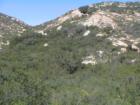 Jamul San Diego CA
