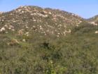 Jamul San Diego CA
