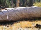 Yosemite