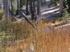 Yosemite