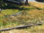 Yosemite