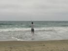 Torrey Pines State Beach