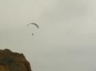 Torrey Pines State Beach