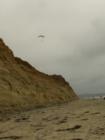Torrey Pines State Beach