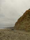 Torrey Pines State Beach