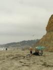 Torrey Pines State Beach