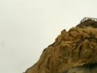 Torrey Pines State Beach