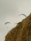Torrey Pines State Beach