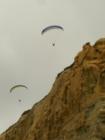 Torrey Pines State Beach