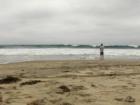 Torrey Pines State Beach
