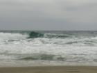 Torrey Pines State Beach