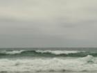 Torrey Pines State Beach