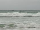 Torrey Pines State Beach