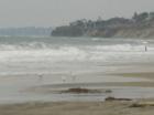 Torrey Pines State Beach
