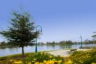 Rancho Santa Margarita Lake