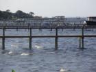 Off of Rocky Point in Grant Florida