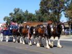 Labor Day Parade