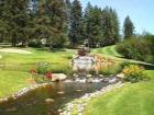 Avondale Golf Club - One of the Water Features