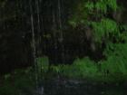 Mosier Twin Tunnel Trail