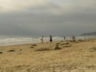 Del Mar