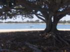 Mission Beach