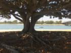 Mission Beach