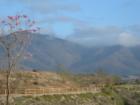 EastLake Woods