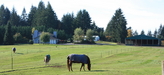 Yacolt_house_and_land_5_
