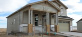 6657_cottonwood_tree_front_of_home