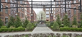 Pic%201%20-the%20huntington%20landscaped%20courtyard