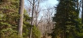 Valley_view_april_2011_2