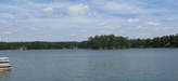 View1