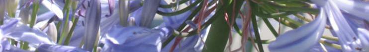 head_left_image