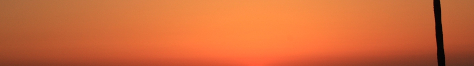 head_left_image